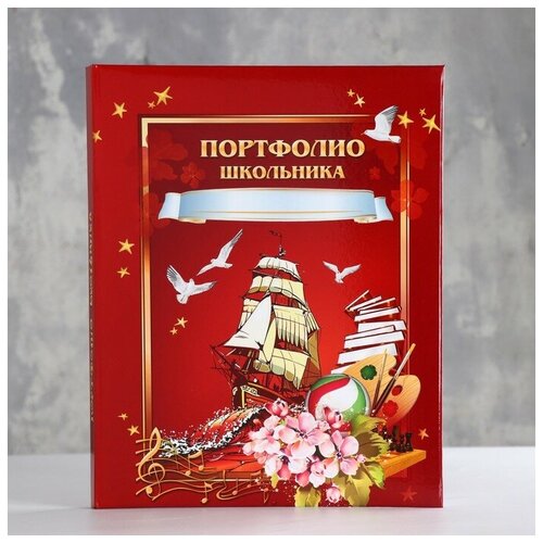 Имидж Портфолио школьника 