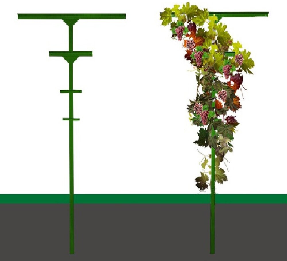 Шпалера для винограда Т-образная окрашенная (зеленый: RAL6005) - фотография № 1