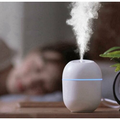 Увлажнитель воздуха с USB 69900₽