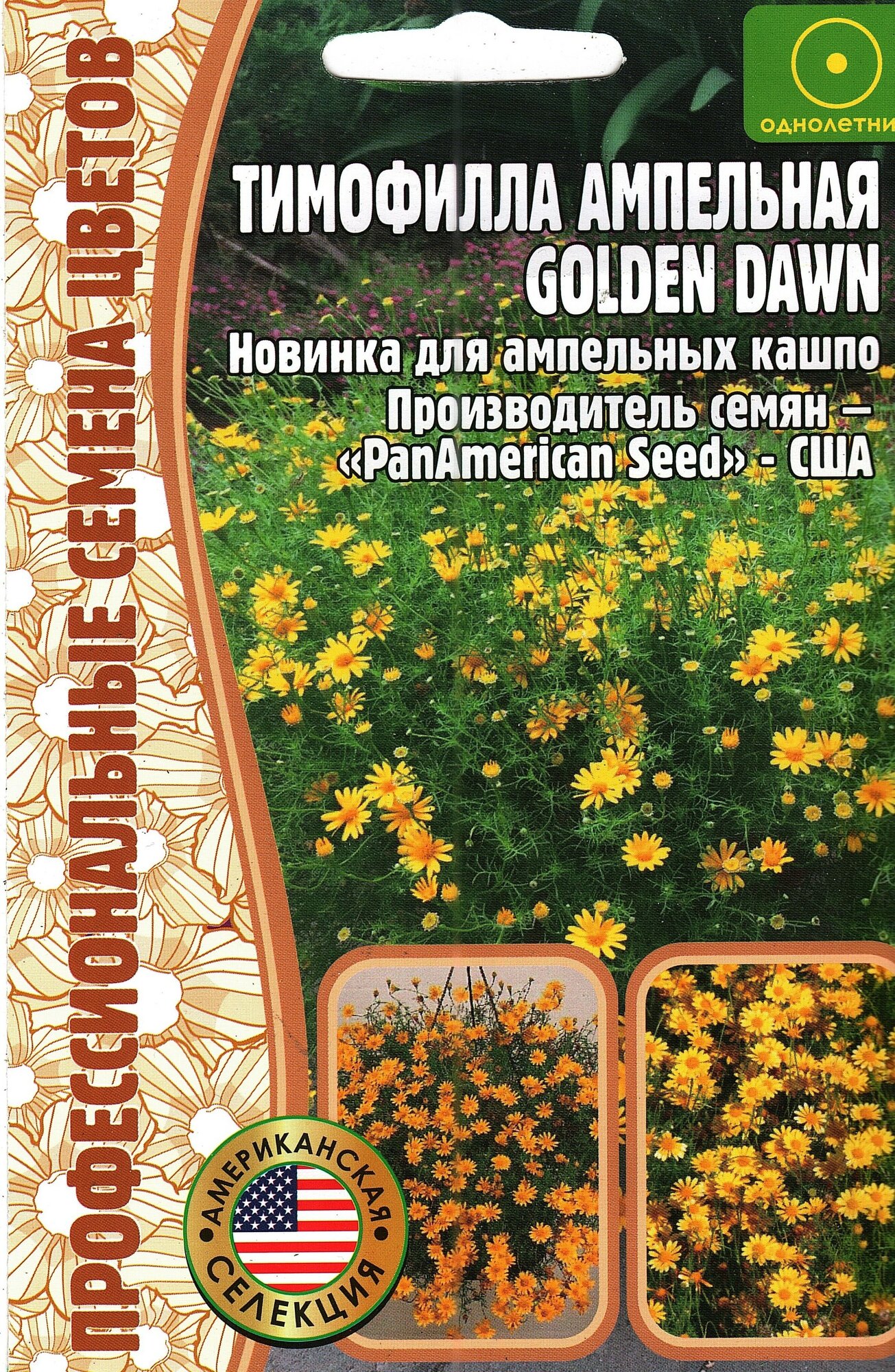 Тимофилла ампельная Golden dawn, ( 1 уп: 15 семян )