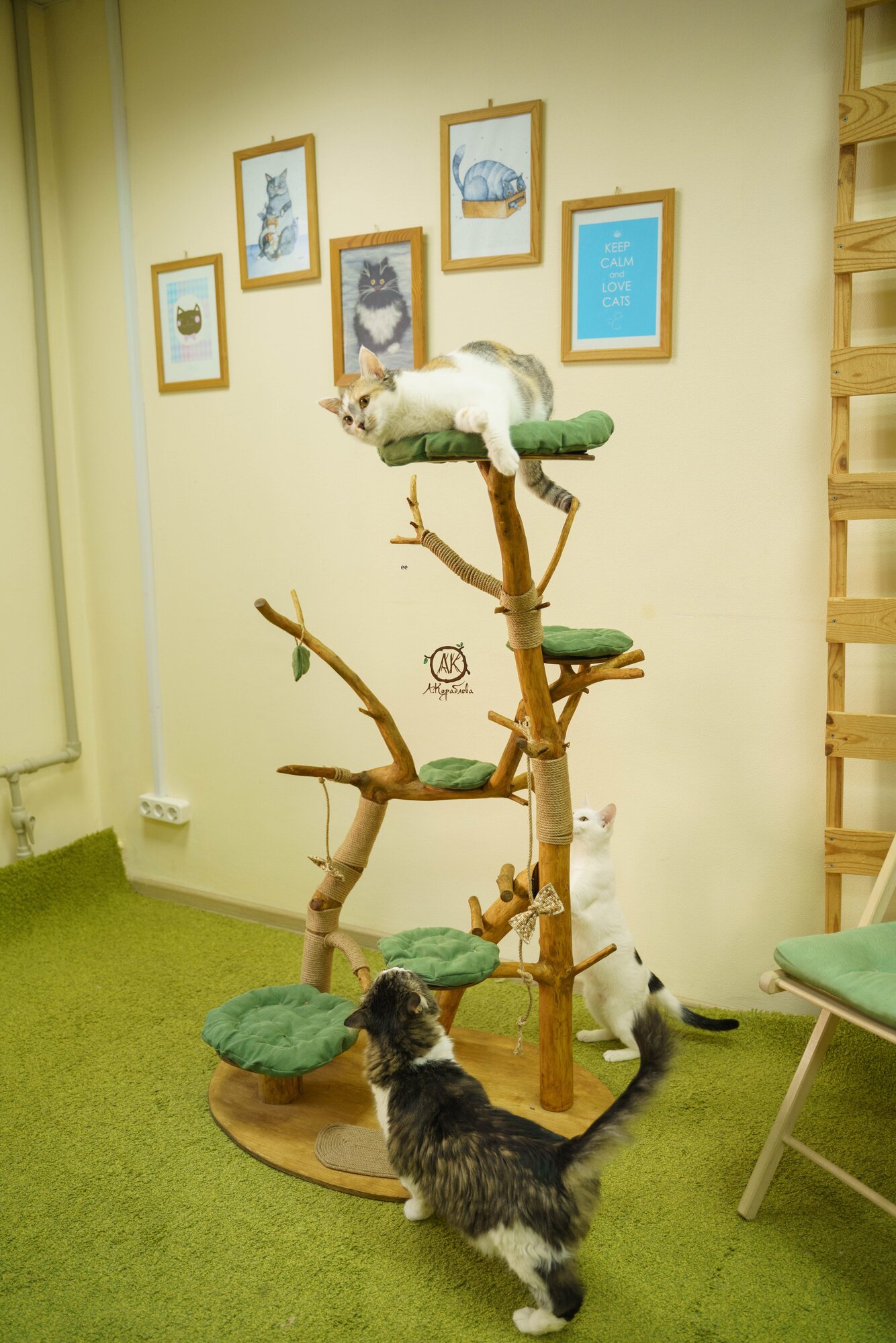 Игровой комплекс для кошек "Сказочный дуб" высота 130 см - фотография № 15