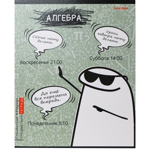 Тетрадь предм Школьные мемасики 48л кл Алгебра, обл мел карт, тисн холст, бл офс 48-9646 9612573