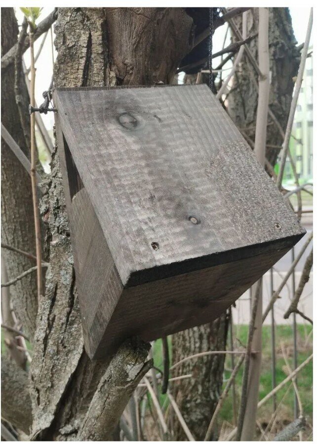 Деревянный скворечник-пищушник для птиц пищух "Пищухин дом" из дерева сосны, собранный, WS-002 - фотография № 7