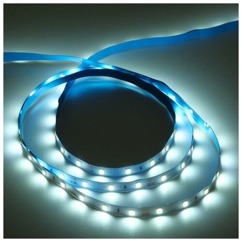 фото Светодиодная лента на катушке ecola led strip pro, 8 мм, 12 в, 6000 к, 4.8 вт/м, ip20, 5 м mikimarket