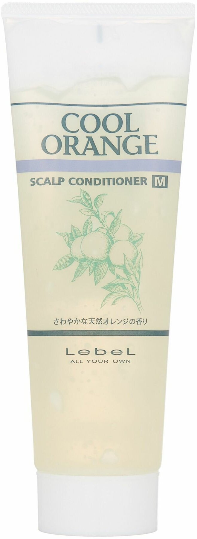 Lebel Cool Orange Scalp Conditioner M Очиститель для сухой кожи головы "Холодный Апельсин", 240 г