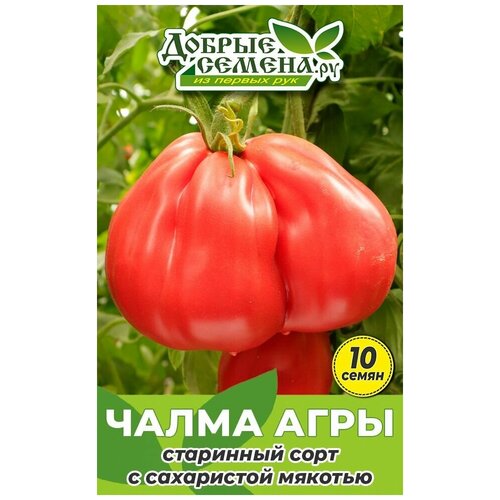 Семена томата Чалма Агры - 10 шт - Добрые Семена. ру семена томата чалма агры 50 шт добрые семена ру