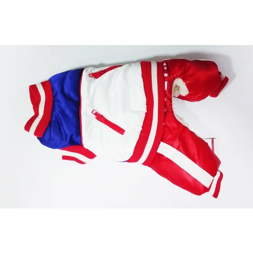 4 my pets Комбинезон синий с красным и белым S 22-25 см