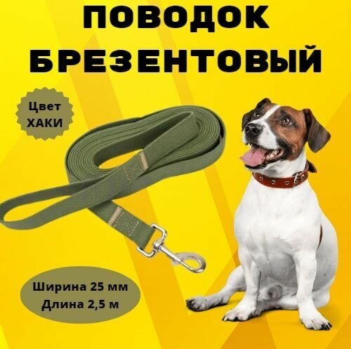 Поводок брезентовый Моськи-Авоськи 25 мм х 2,5 м, цвет хаки - фотография № 1