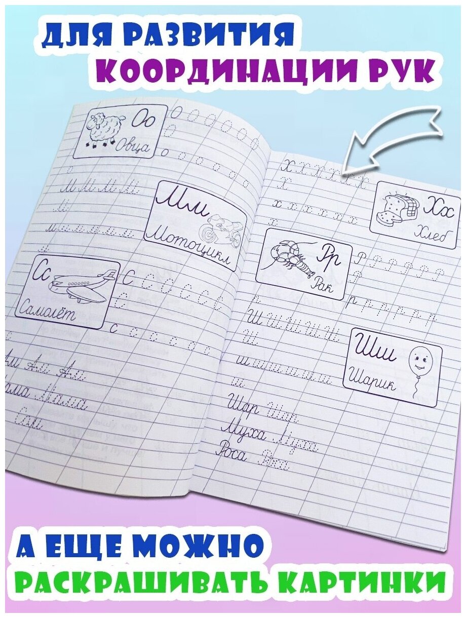 Прописи буквы, цифры и слова/Прописи для малышей и дошкольников/Уроки ...