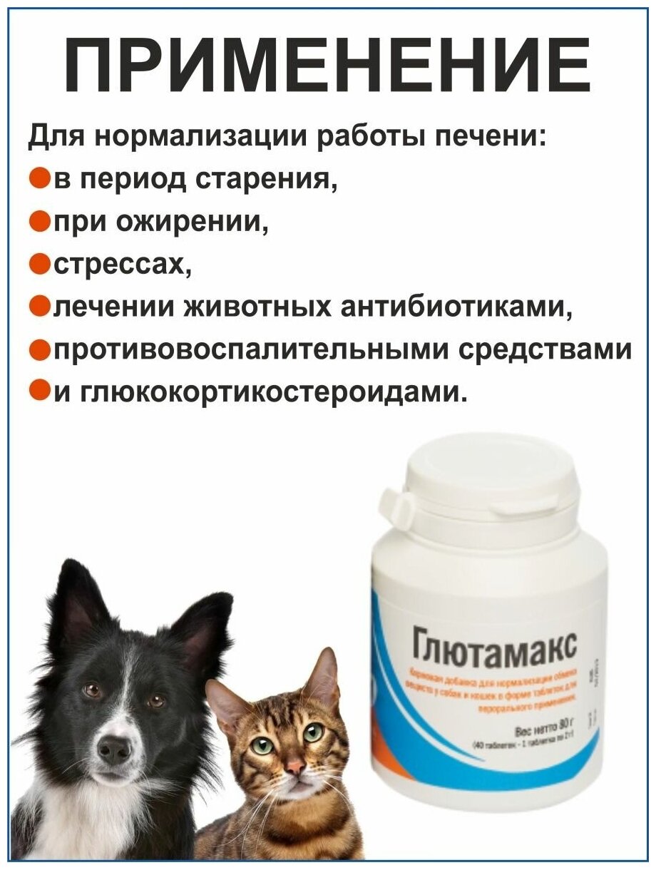 Candioli Глютамакс Кормовая добавка для нормализации работы печени у кошек и собак, 40 таблеток - фото №4