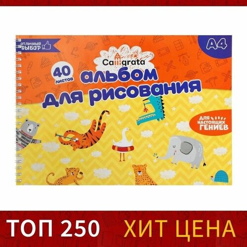 Альбом для рисования А4, 40 листов на гребне, обложка мелованный картон, блок 100 г/м