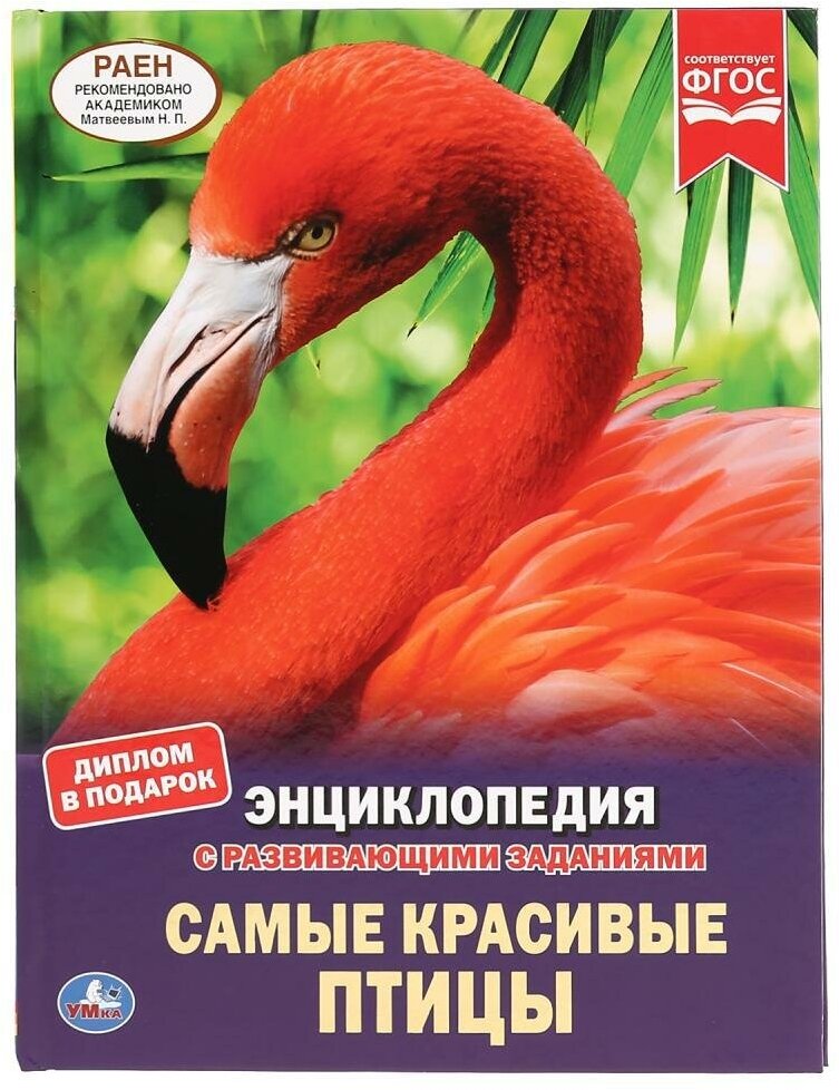 Самые красивые птицы. Энциклопедия. Энциклопедия