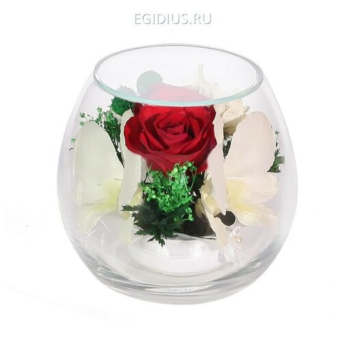 Цветы в стекле: Композиция из роз и орхидей 200-251