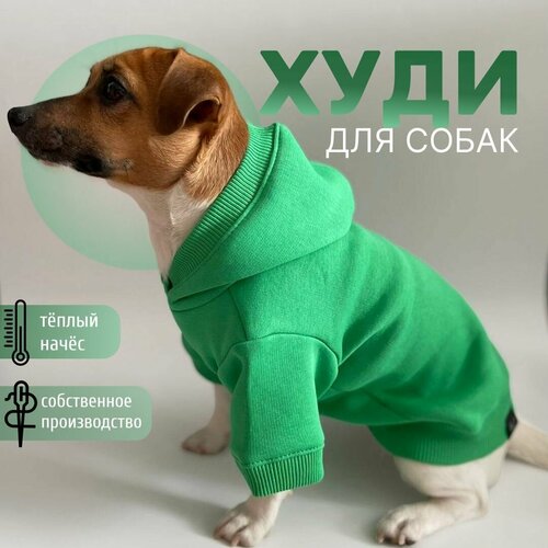 Худи для собак