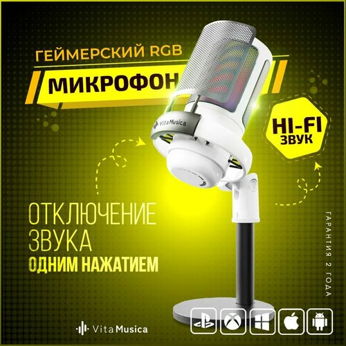 Микрофон для компьютера игровой для стрима Vita Musica 1999₽