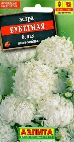 Астра Букетная белая   3 упаковки    семена