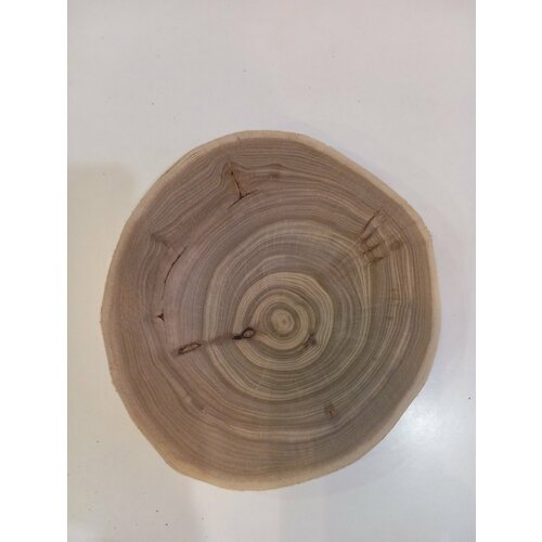 Спил дерева карагач, заготовка для творчества, поделок 19/18/2,5см