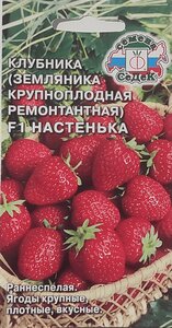 Семена Клубники (Земляники крупноплодной ремонтантная) Настенька F1 (15 семян)