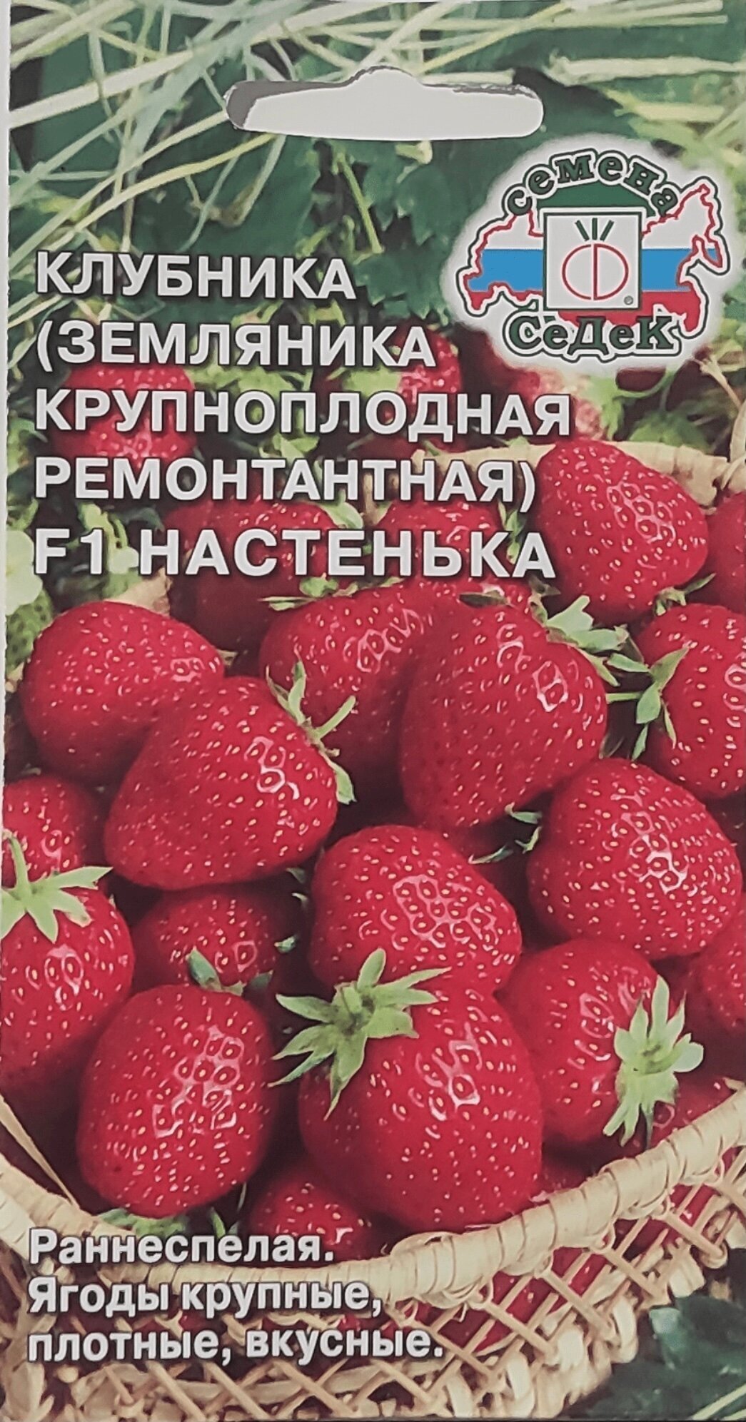 Семена Клубники (Земляники крупноплодной ремонтантная) Настенька F1 (15 семян)