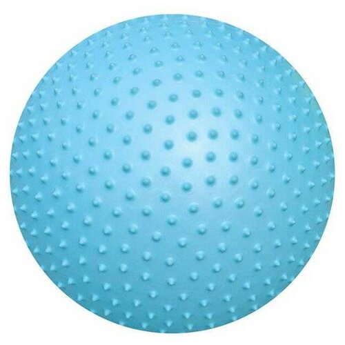Мяч массажный Atemi AGB0265 ф.:круглый d=65см голубой (00000089562)
