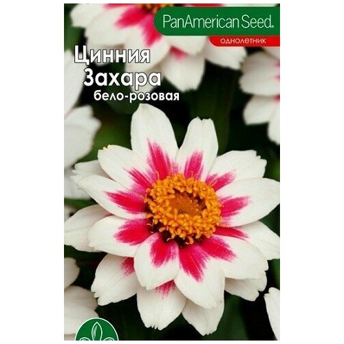 Цинния Захара Старлайт Роуз 5шт Золотая сотка Алтая гайлардия меса ред 5шт золотая сотка алтая