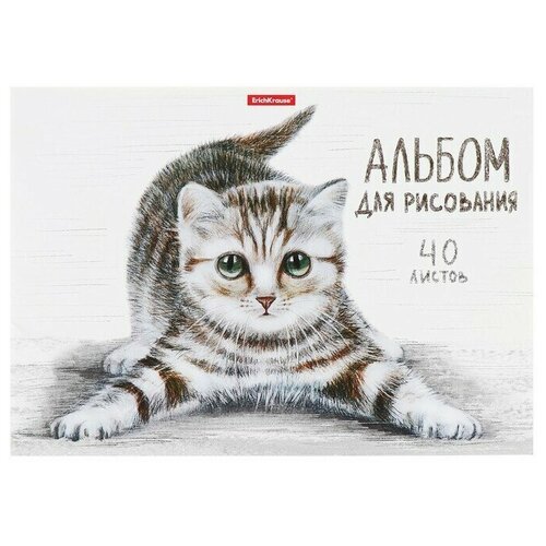 Альбом для рисования А4, 40 листов на клею Tabby, обложка мелованный картон 170 г/м2, жёсткая подложка, блок 120 г/м2 альбом для рисования а4 30 листов на клею artberry париж обложка мелованный картон жёсткая подложка блок 120 г м2