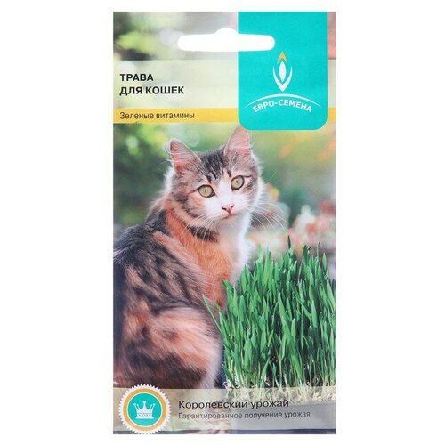 Семена Трава для кошек, 10 г 5 шт трава для кошек рожь 1 пакет семена 150 г для кошек и других домашних питомцев
