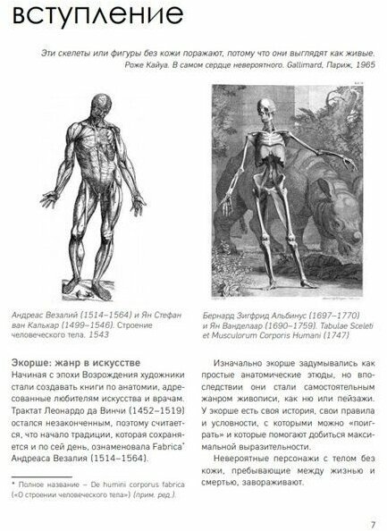 МОРФО. Анатомия для художников - фото №5