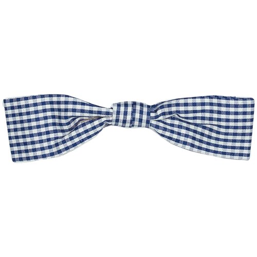 Бабочка Pierre Clarence, белый, голубой