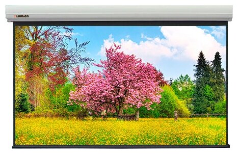 Экран для проектора Lumien Master Large Control 250" 337x539 см