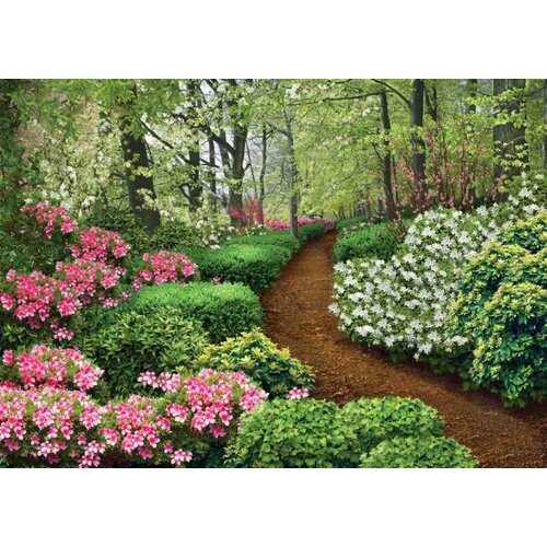 Фотообои Весенний сад 272х194см 950₽