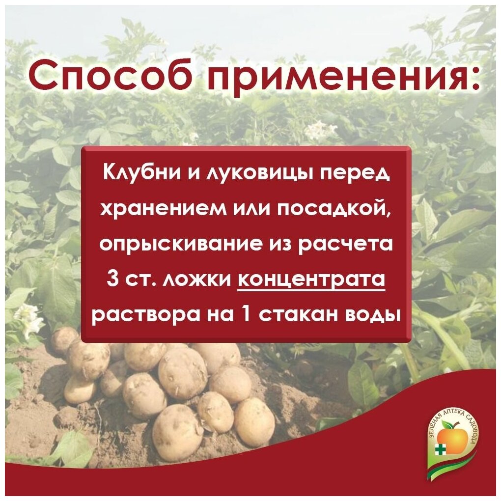 Фитоспорин-М паста 200гр., супер-универсал. Профилактика, лечение, защита грибных и бактериальных болезней растений - фотография № 8