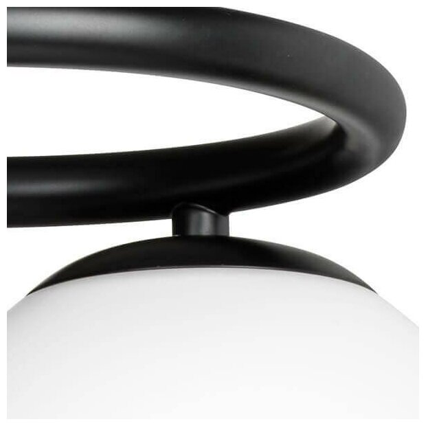 Бра LightStar GLOBO - фото №3