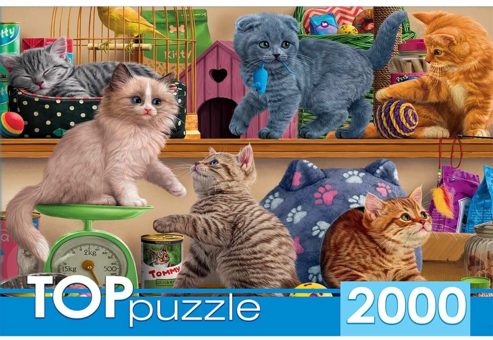 TOPpuzzle-2000 "Смешные котята" (ХТП2000-1596) Рыжий кот - фото №3