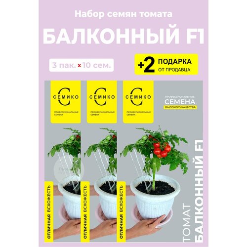 Семена Томат 