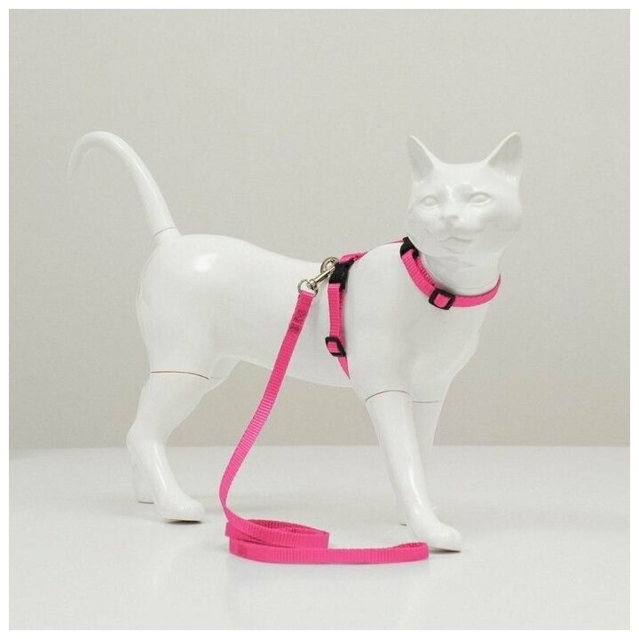 Комплект для кошек, ширина 1 см, ОШ 16,5-27 см, ОГ 21-35 см, поводок 120 см, розовый - фотография № 1