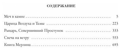 Король былого и грядущего (Уайт Теренс Хэнбери) - фото №3