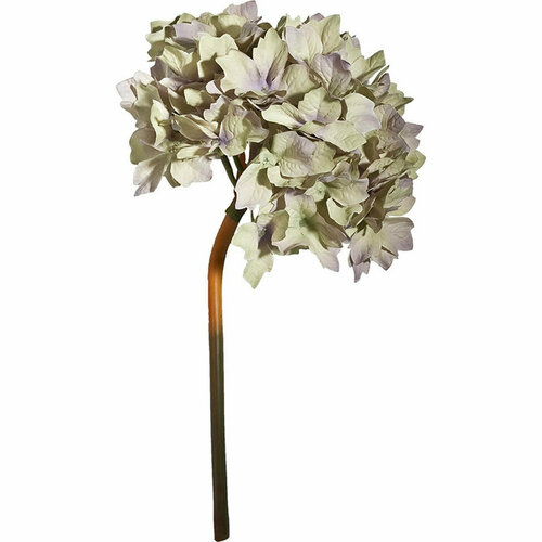 Цветы декоративные Гортензия Casaentera CE04-58148-GRVI зеленый 130х130х360