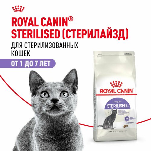 Корм для кошек Royal Canin Sterilised 37 Корм сухой сбалансированный для стерилизованных кошек, 2 кг
