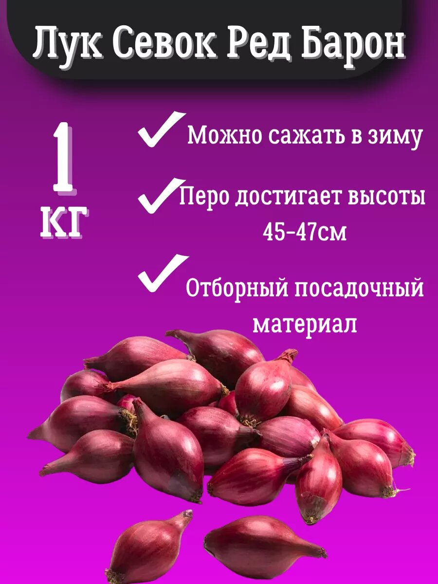 Лук Севок сорт 