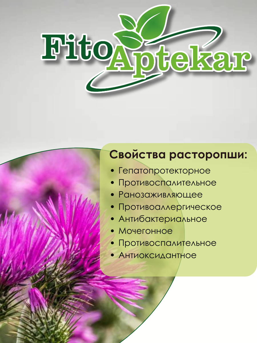 Расторопша семена Фито-Аптекарь, при заболеваниях печени, гастрите, запорах, ожирении, 1 кг — фото 1