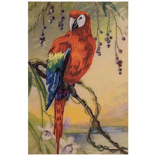 PANNA Набор для вышивания Живая картина Попугай Ара (ЖК-2071), разноцветный, 17 х 27 см