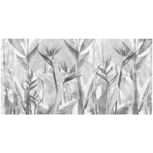 Фотообои Уютная стена Графичные экзотические листья 540х270 см Виниловые Бесшовные (единым полотном)