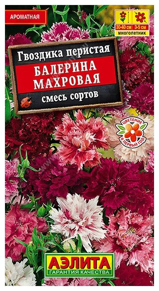 Гвоздика Балерина махровая смесь сортов (01 г) 2 пакета