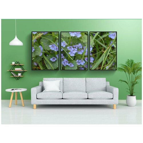 фото Набор модулных постеров для интерьера "наземный плющ, цветок, цвести" 60x90 см. в тубусе, без рамки lotsprints