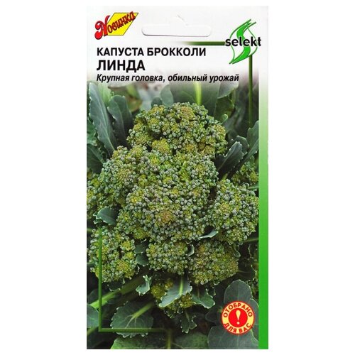 Капуста брокколи Линда, 60 семян