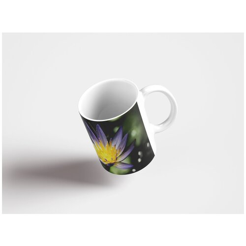 фото Кружка "водяная лилия, кубышка жёлтая, водное растение 320 мл. белая" lotsprints