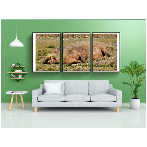 фото Набор модулных постеров для интерьера "дикий кабан, спать, расслабленный" 60x90 см. в тубусе, без рамки lotsprints