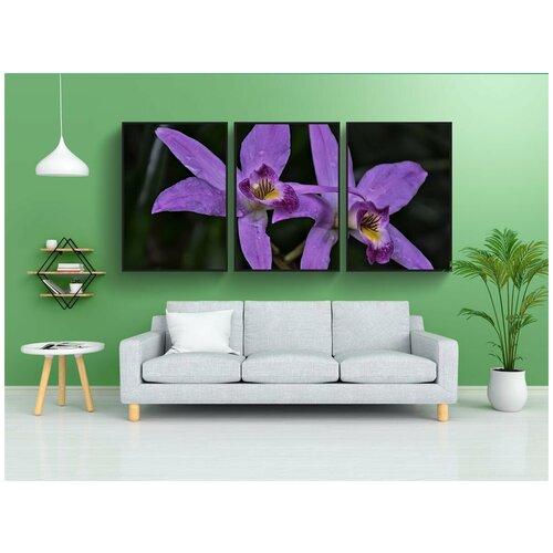 фото Набор модулных постеров для интерьера "орхидея, цветок экзотический, фиолетовый" 60x90 см. в тубусе, без рамки lotsprints
