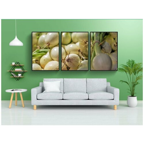 фото Набор модулных постеров для интерьера "лук, чеснок, здоровый" 60x90 см. в тубусе, без рамки lotsprints
